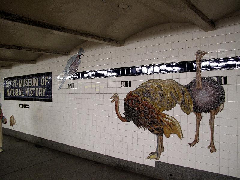 NY (446).JPG
